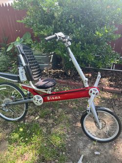 Bigha Electrical Bicycle 