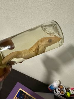 Shark Figure Preserved in Liquid Bottle