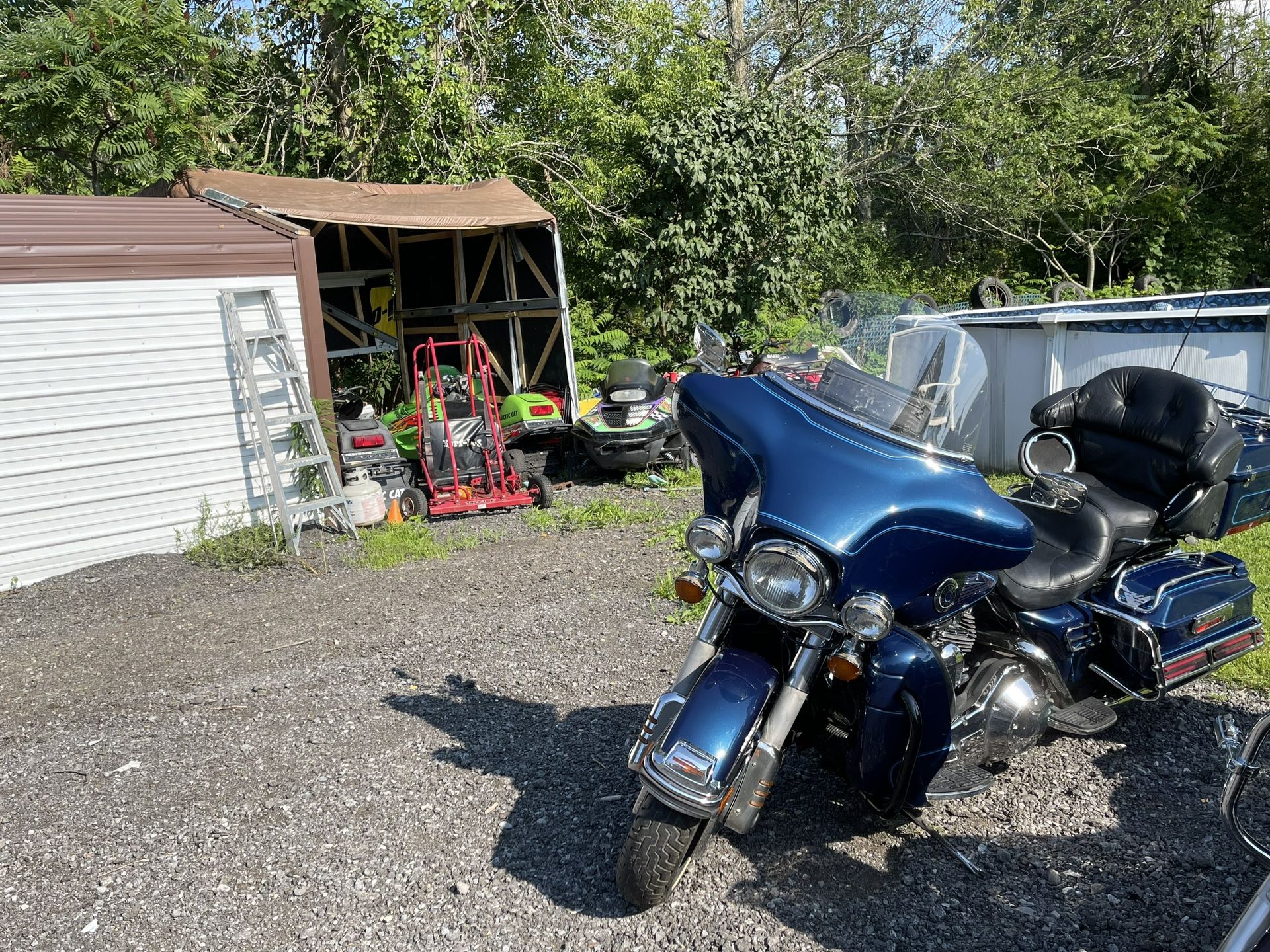 Harley 