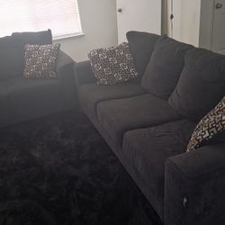 Two Piece Couch Set