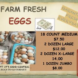 Eggs For sale