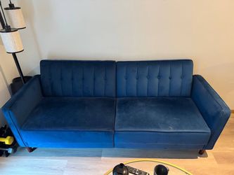Velvet Couch