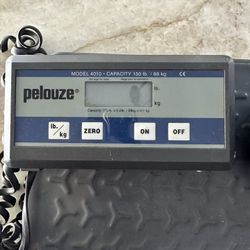 Pelouze Digital Shipping Scale - 150lb Capacity