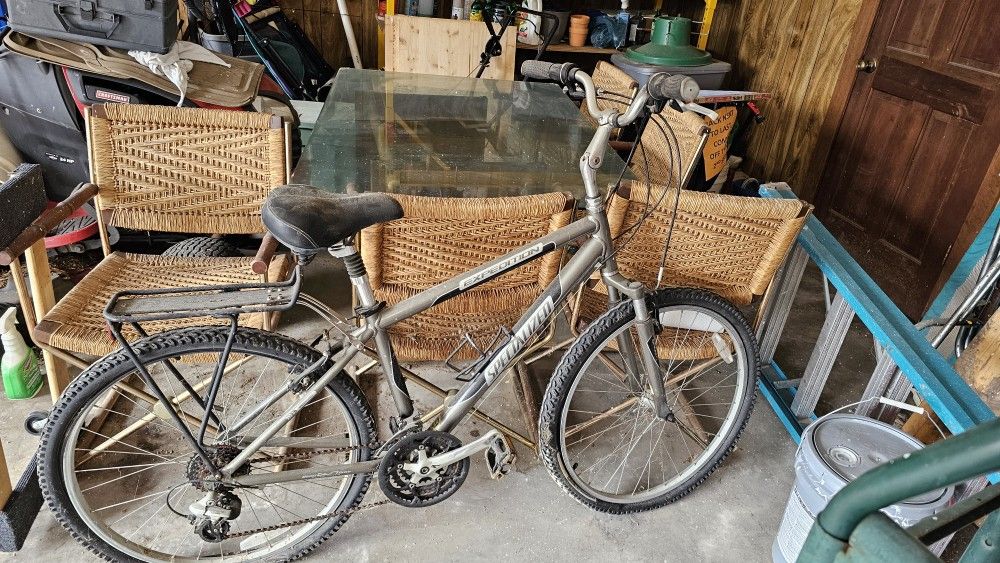 Specialized Expedition Bike