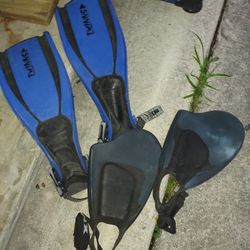 Dive fins