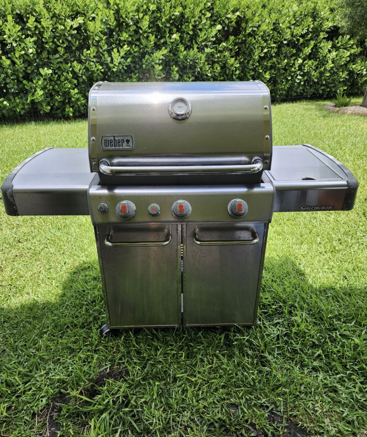 Webber Genesis Grill