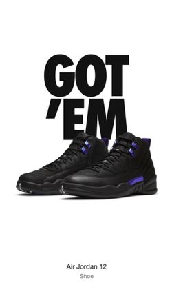 Air Jordan 12 dark concord