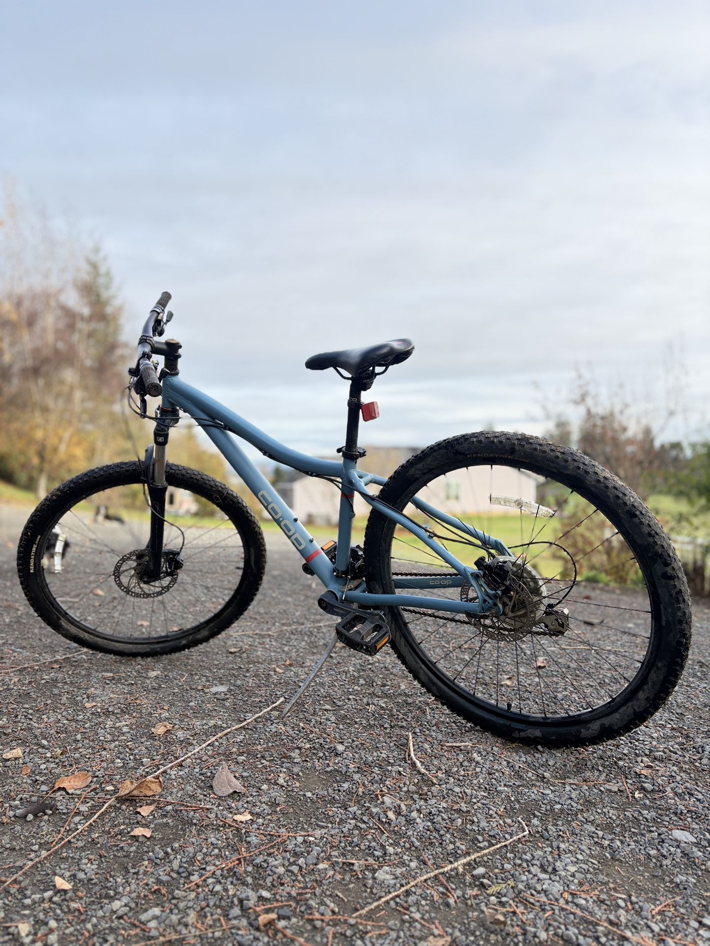 REI Mountain Bike – Excellent Condition