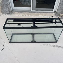 55 gallon fish tank