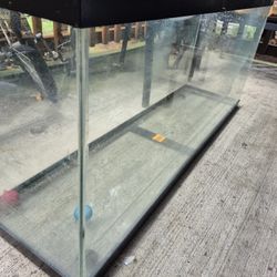 55 Gallon Fish Tank. No Leaks. 50 Bucks Obo
