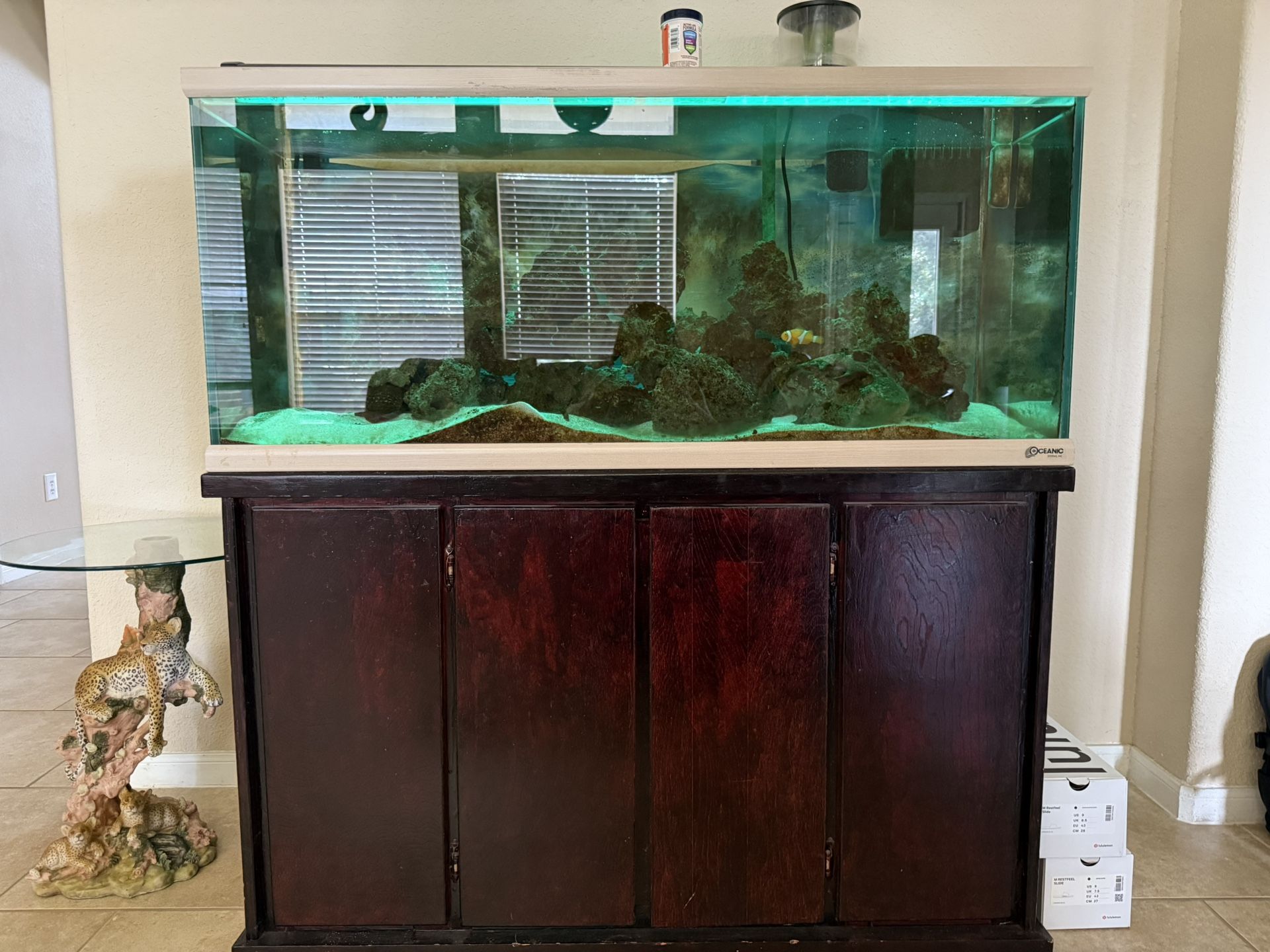 Salt Water Fish Tank 100 Gallon 