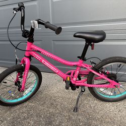 Guardian Bike with 16 inch wheels