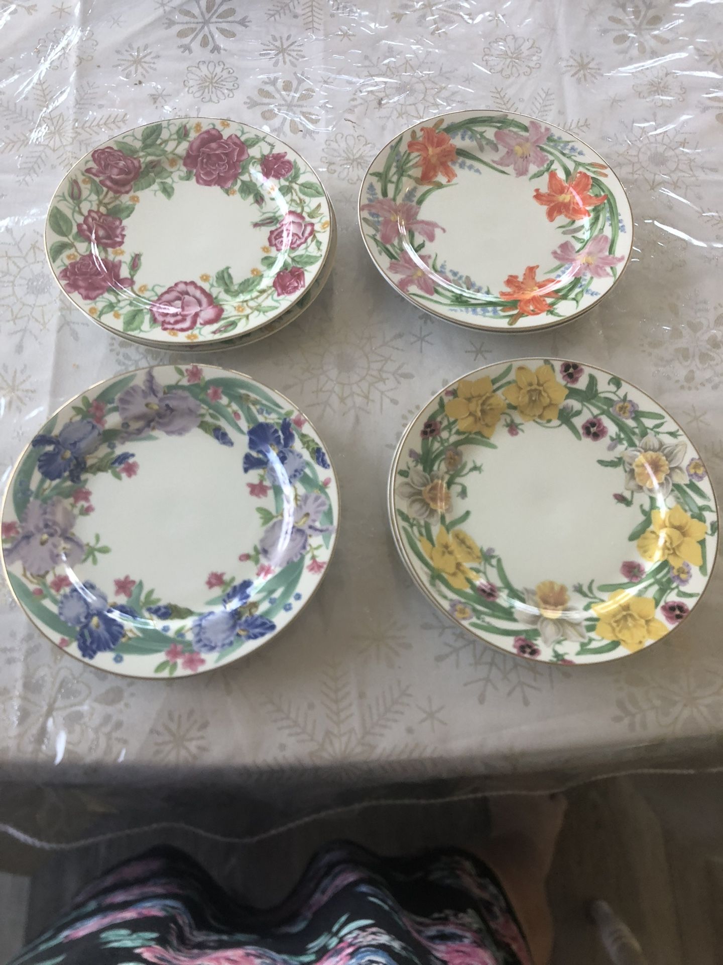 8 Plates. 2 Of Each Color