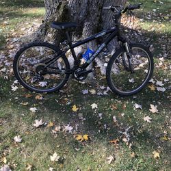 24” Iron Horse Mountain Bike
