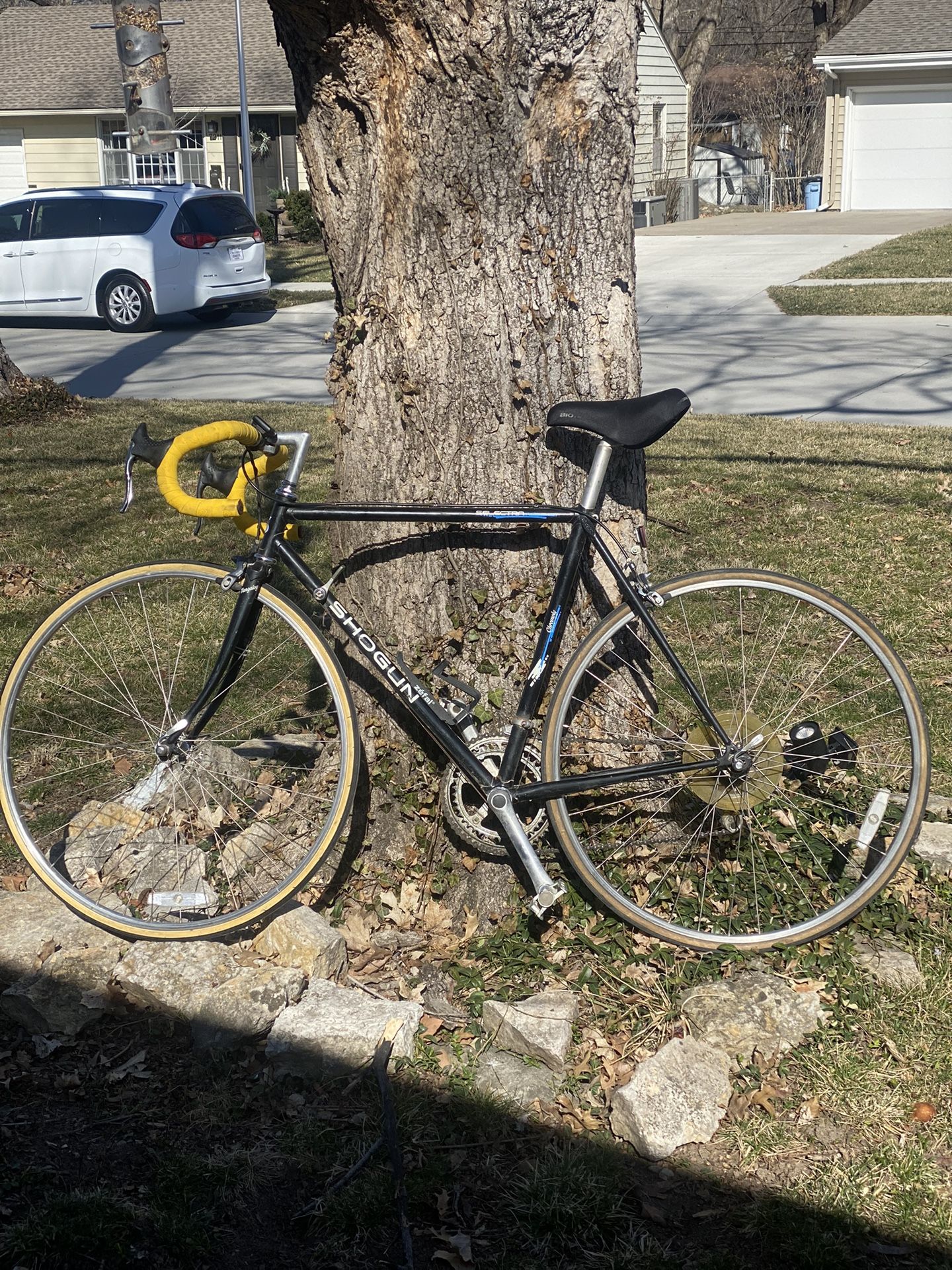 Vtg. Shogun Selectra 53cm Road Bike