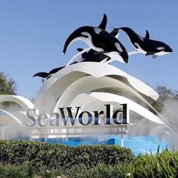Seaworld Tickets 