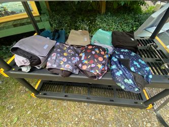 Dog male wrap