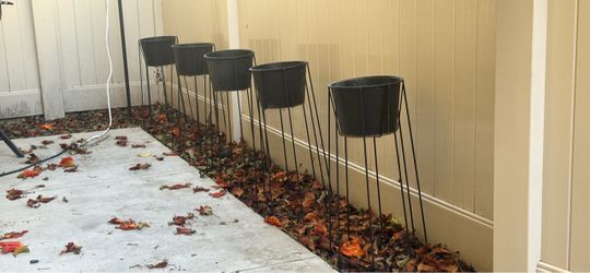 Black Metal Plant Stands with Pots – Set of 4