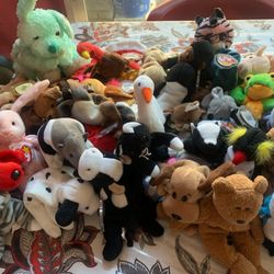 TY Beanie Baby's Collection 