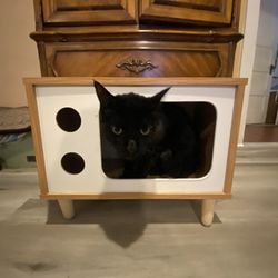 Cat House Cat Coffee Table Cat TV 
