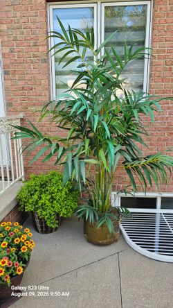 Artificial palm in gold metal pot