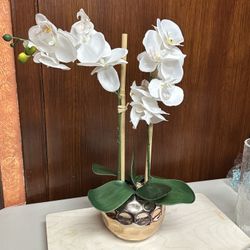 Orchid with pot modernist style