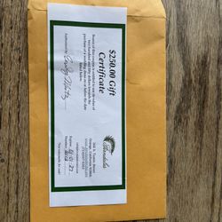 $250 Wedding Dress Certificate at Ferndales