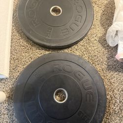 Fitness Equipment by Rogue