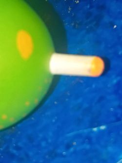 Toxic Snail Smorkin’ Labbit 🐌☢️