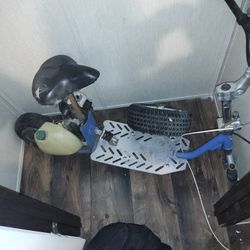 Gas Scooter Adult