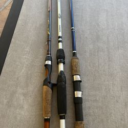 Fishing Rod