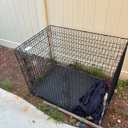 Dog Cage