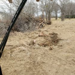 Skid Steer 