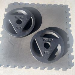 PAIR of 25 LBS Grip Style Weight Plates