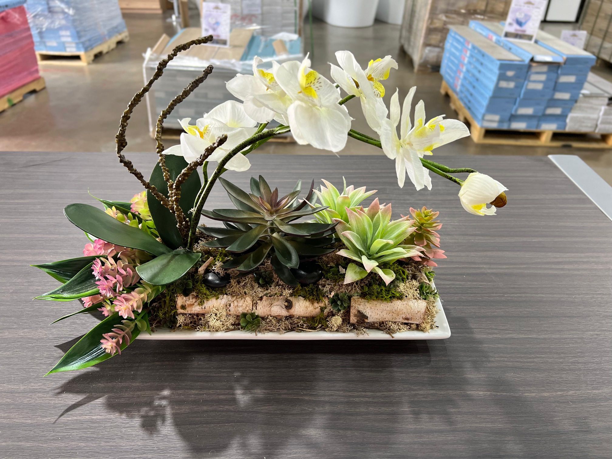 Contemporary Orchid Succulent : Modern Artificial Flower Arrangements - Dallas