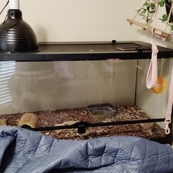 40 gallon double door glass aquarium with entire setup read description