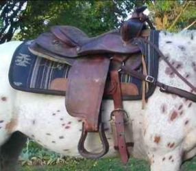 16" WESTERN SADDLE WITH GIRTH
