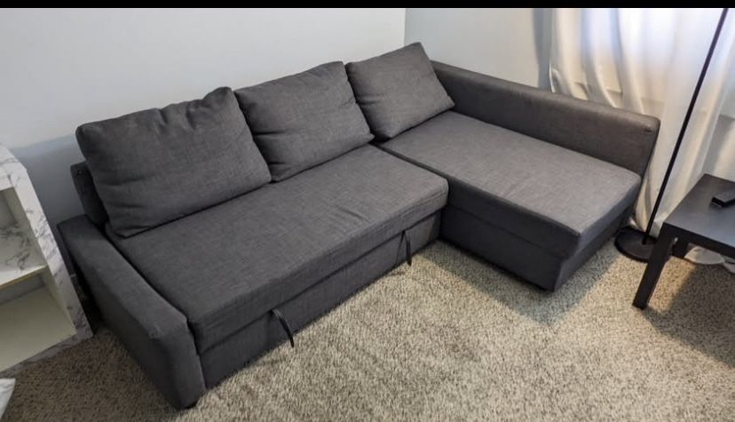 Chaise Sleeper Sofa - IKEA Friheten