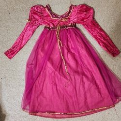 Princess Dress / Halloween Costume