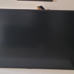 55" Monitor
