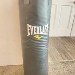 Everlast Punch Bag 