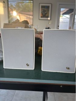 Indoor/outdoor speakers
