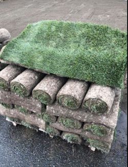 Grass Sod With Free Delivery! Cut for your order