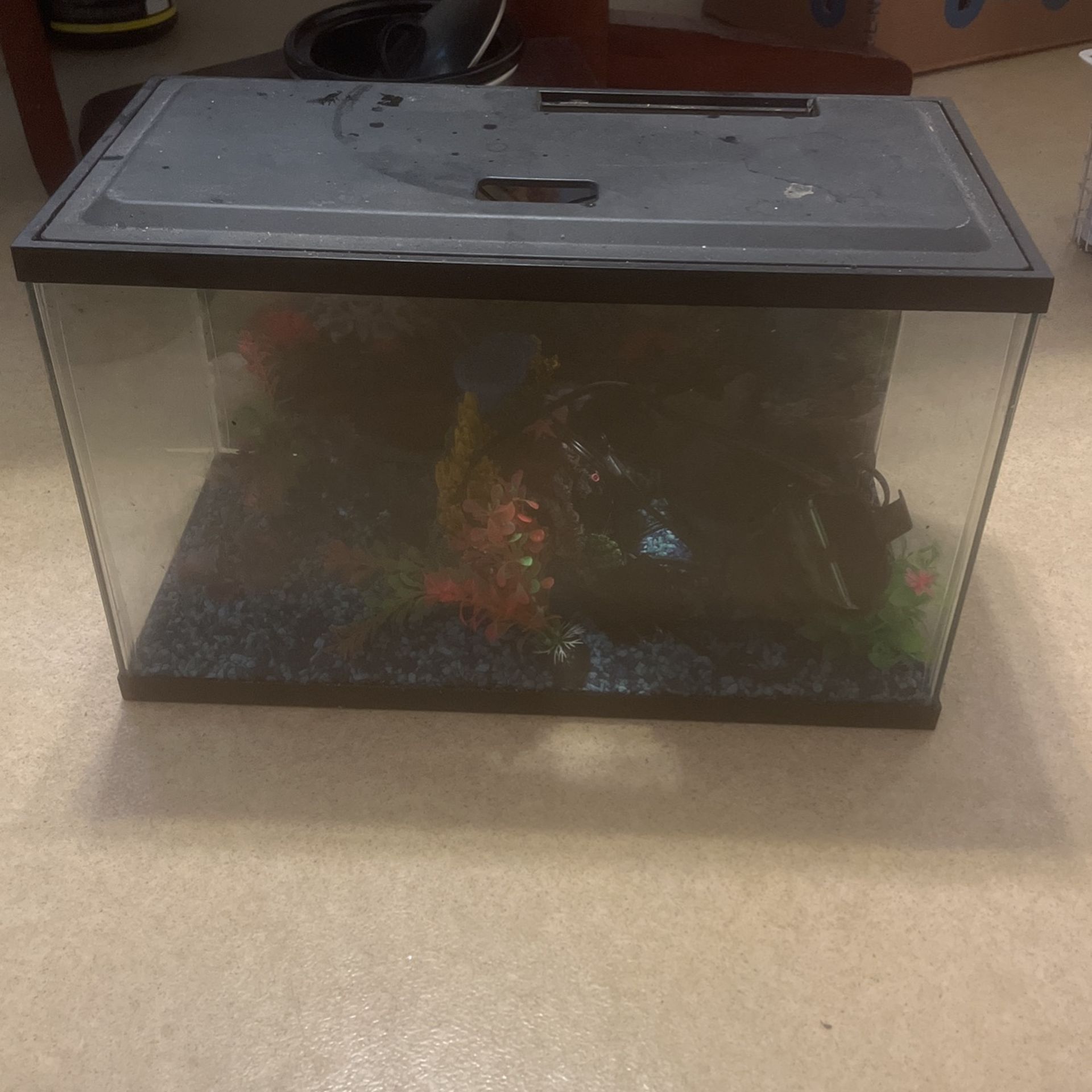 Fish Tank 