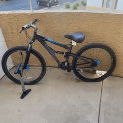 Schwinn Large Bike