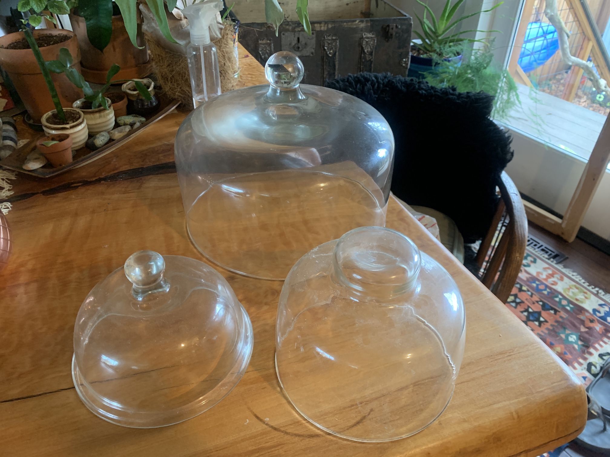Cake Covers