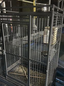 Large Bird Cage