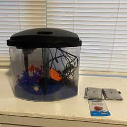Betta Fish Tank