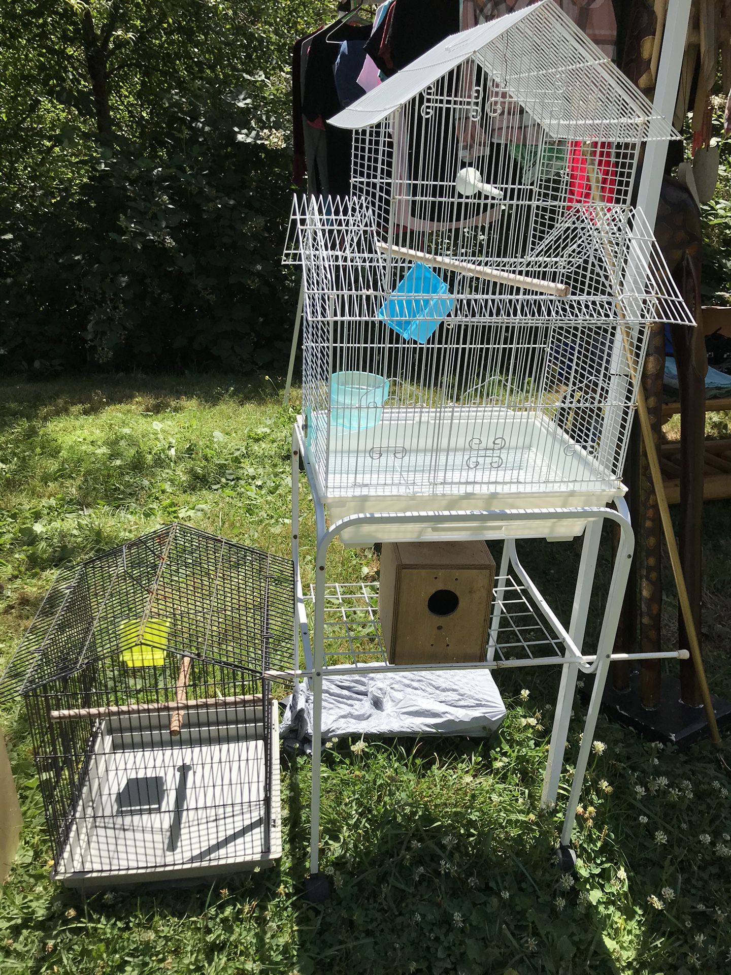 bird cage