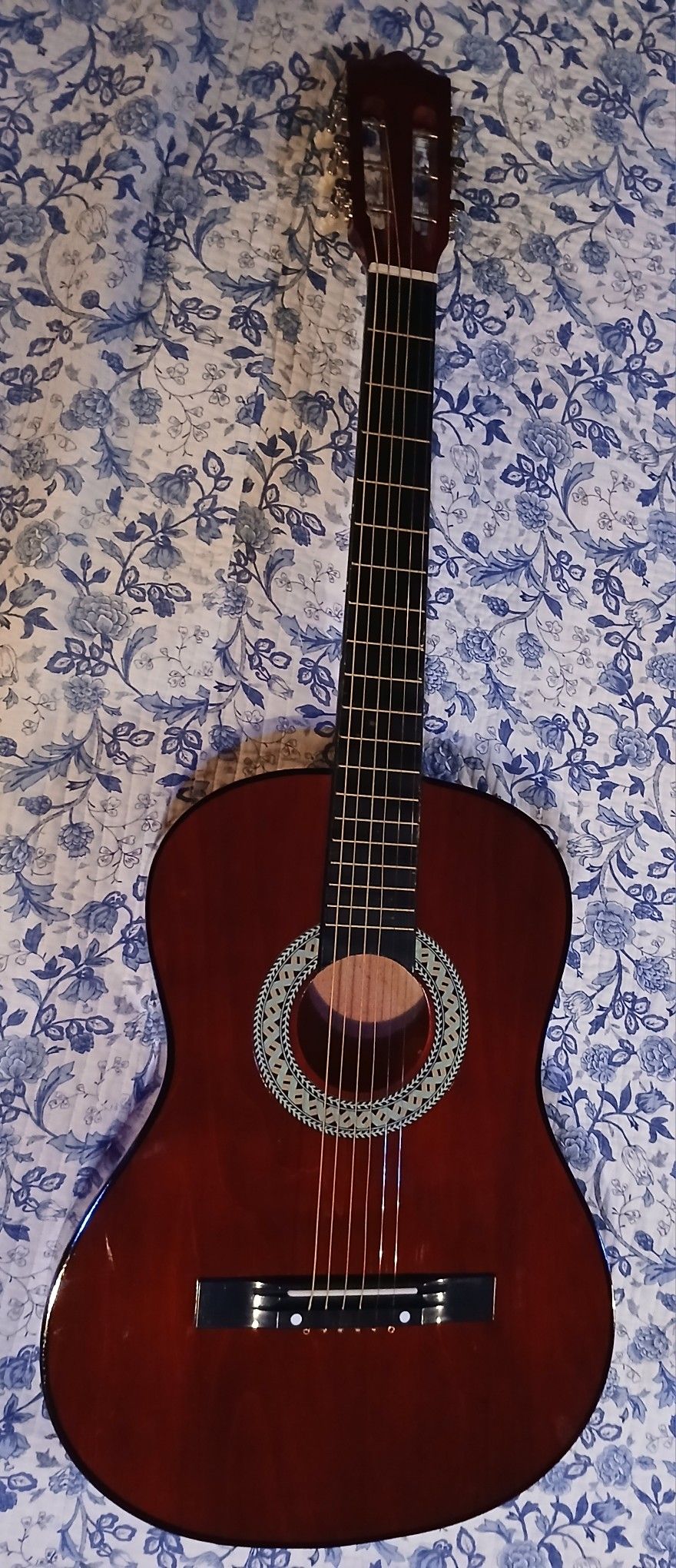 Brand New Acoustic Guitar 